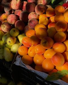 many different types of fruit on display at a grocery store, including apricots and peaches