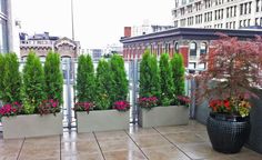 two large planters on the roof of a building