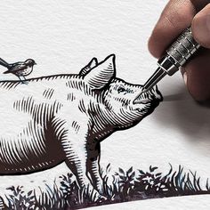 a drawing of a pig with a bird sitting on top of it