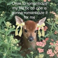 a baby deer hiding in some flowers with a bow on it's head and the words omw to romanticize my life, be no one is gon