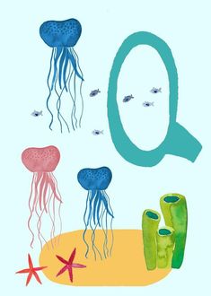 the letter q is surrounded by jellyfish and starfish