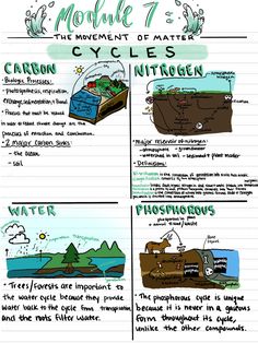 an image of a page with instructions on how to use the water cycle in science