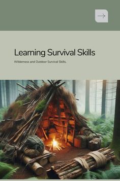 Discover essential tips and tricks to boost your survival skills with our latest post on learning self-reliance. This guide covers everything from creating medicinal remedies and preserving food to ensuring a clean water supply in emergency situations. Gain knowledge on disinfecting, pain relief, wound treatment, and creating a self-sustaining garden. Perfect for anyone looking to prepare for unforeseen circumstances, this post is a must-read. Medicinal Remedies, Gain Knowledge, Surviving In The Wild, Survival Shelter, Survival Life, Outdoor Survival, The Wilderness