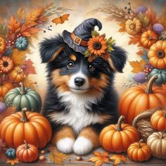 a painting of a dog wearing a witches hat surrounded by pumpkins