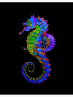 a brightly colored seahorse on black background canvas print with white border, framed or unframeed