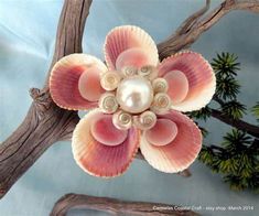 a close up of a flower made out of seashells on a tree branch