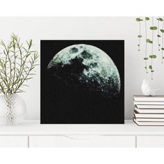 a black and white photo of the moon on a shelf next to some books, vases and plants