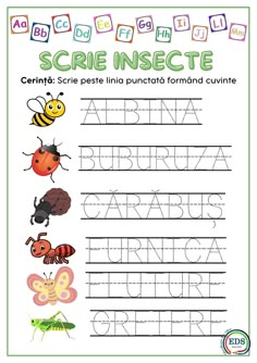 the spanish alphabet worksheet for children to learn how to write and draw letters