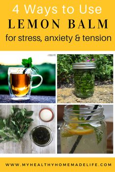 How to Use Lemon Balm for Stress, Tension and Anxiety | Herbal Remedies | Home Remedies | Herbal Tea Recipes | How to Make a Lemon Balm Tincture | How to Make a Lemon Balm Glycerite | My Healthy Homemade Life Lemon Balm Tea Recipe, Lemon Balm Tincture, Lemon Balm Tea, Organic Recipes Healthy, Herbal Teas Recipes, Natural Health Remedies, Healthy Homemade, Natural Home Remedies