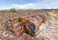 a large piece of wood sitting on top of a rocky ground covered in lots of paint