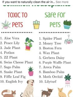 a poster with instructions on how to use plants for pets