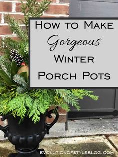 a potted plant with the words how to make gorgeous winter porch pots on it