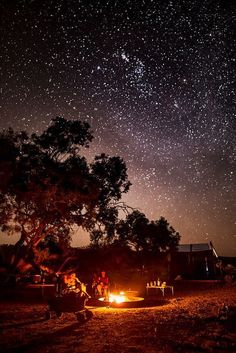 26 Camping Setup Ideas: Gearing Up for the Great Outdoors | Glamping Ideas Outback Camping, Night Sky With Stars, Sky With Stars, Camping Vibes, Photography Beach, The Night Sky