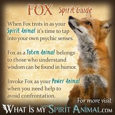 a fox with its mouth open and the words, what is my spirit animal?