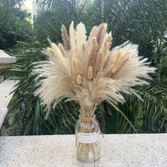 PRICES MAY VARY. 🌿【A Gift From Nature】Natural dried pampas grass dried flowers is made from 100% natural high-quality reed grass, giving you the original touch, non-toxic and harmless. And unlike fresh flower arrangements, they require no maintenance once the plumes are conditioned, so these soft and fluffy boho Pompass grass will sit effortlessly in any setting, making you feel like you are on the pampas and adding a natural fun of texture. 🌿【What You Will Receive】Each plant is approximately Brown Pampas, Home Flower Arrangements, Pampas Grass Bouquet, Dried Pampas, Homemade Wedding, Grass Decor, Pampas Grass Decor, Bunny Tails, Farmhouse Wedding