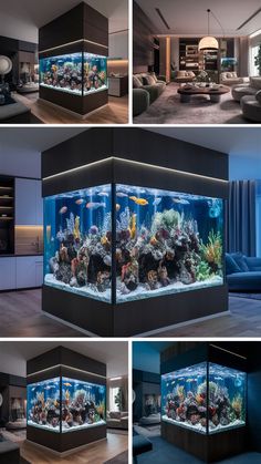 Aquarium Design Ideas: Wall Divider Elegance Library Aquarium, Aquarium Design Ideas, Aquarium Wall, Wall Dividers, Glass Fish Tanks, Wall Divider