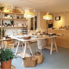 a room filled with lots of different types of items on shelves next to potted plants