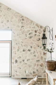 a dog is sitting on the floor in front of a wall with a stone pattern