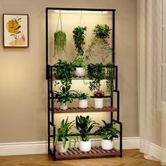 a shelf filled with potted plants next to a window