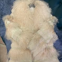 Size Xs Very Chic Fur Coat, Jackets For Women, Womens Sizes, Women Shopping, Color