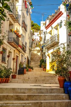 an alleyway with potted plants and stairs leading up to the upper floor apartment buildings