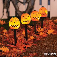 three lighted pumpkins sitting on top of leaves