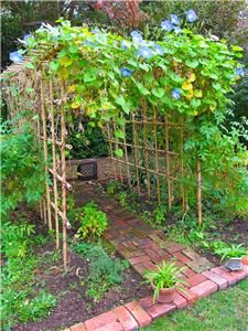 an outdoor garden with lots of plants growing on it's sides and brick walkway