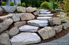 a rock wall in the middle of a garden