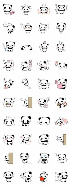 an image of pandas face with different expressions on the same wallpaper, and one is