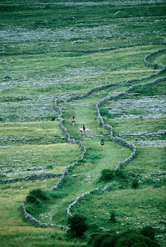 two people walking down a path in the middle of an open field