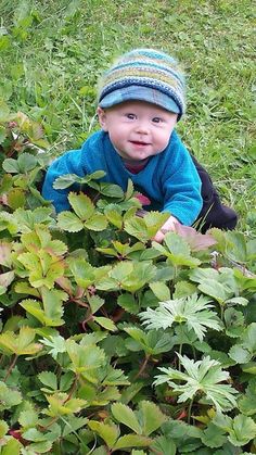 a small child in a blue jacket and hat climbing up a bush with green leaves