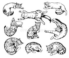 six cats in different positions, one is jumping and the other is laying down royalty illustration