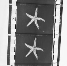 two starfishs drawn on the side of a black and white film strip,