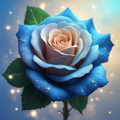 a blue rose with water droplets on it