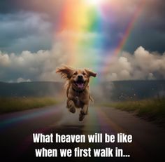 a dog is running down the road with a rainbow in the sky behind it and an inspirational quote below