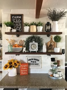 the kitchen counter is covered with pots, plants and other things on it's shelves