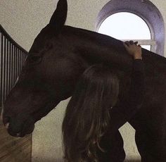 a woman standing next to a black horse in a room with white walls and wooden floors