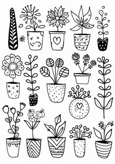 potted plants and flowers are drawn in black ink