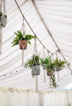 several hanging plants in pots and potted plants inside a white marquee tent