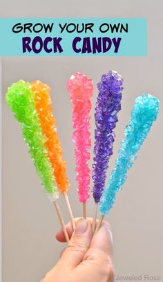 hand holding four multicolored lollipop sticks