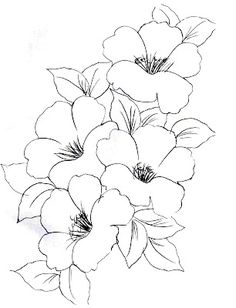 some flowers that are in the middle of a black and white drawing with pencils