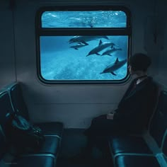 a man sitting on a train looking out the window at dolphins