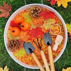 fall leaves and pumpkins in a white bowl on the grass with two spatulas