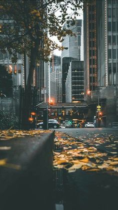 the leaves are falling on the ground in front of tall buildings and skyscrapers at night