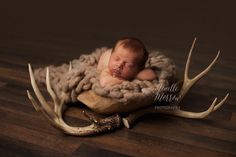 a newborn baby is curled up in a deer antler's nest with his eyes closed