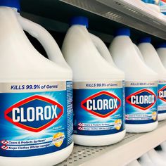 several bottles of clorox are on the shelf