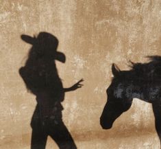 a shadow of a man and a horse on a wall with the shadow of a cowboy