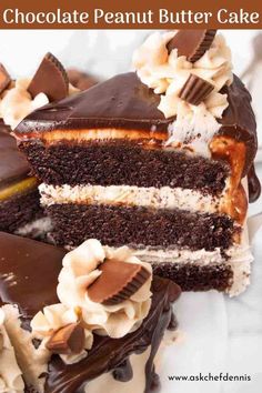 a chocolate peanut butter cake on a white plate