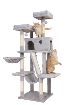 two cats sitting on top of a cat tree