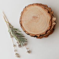 a piece of wood sitting next to a plant